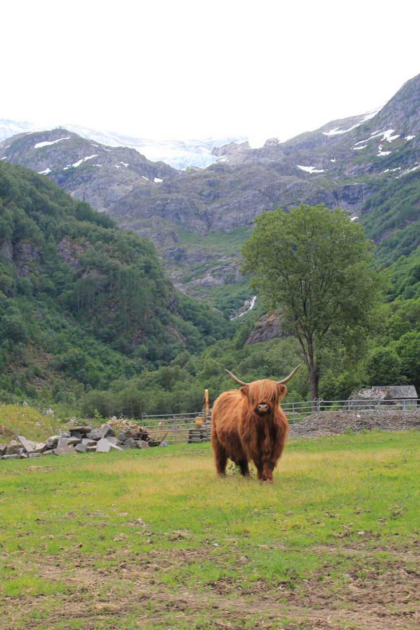 Buarbreen